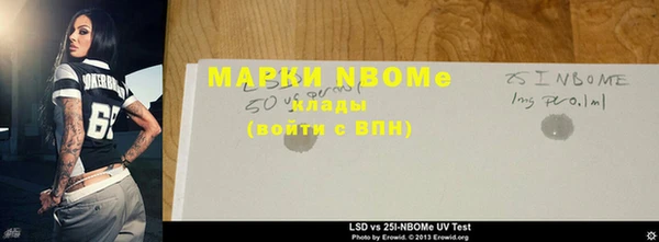 прущие грибы Магадан
