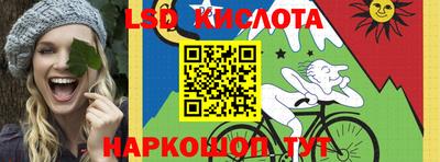 прущие грибы Гусев