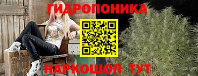 бошки Донецк