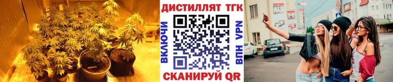 кракен вход  Донецк  Дистиллят ТГК концентрат 