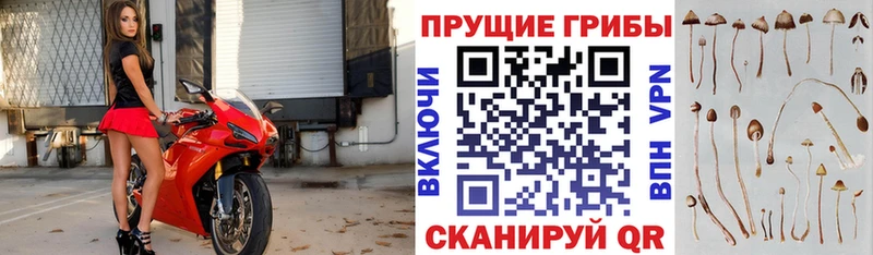 цена   Донецк  мега маркетплейс  Галлюциногенные грибы MAGIC MUSHROOMS 