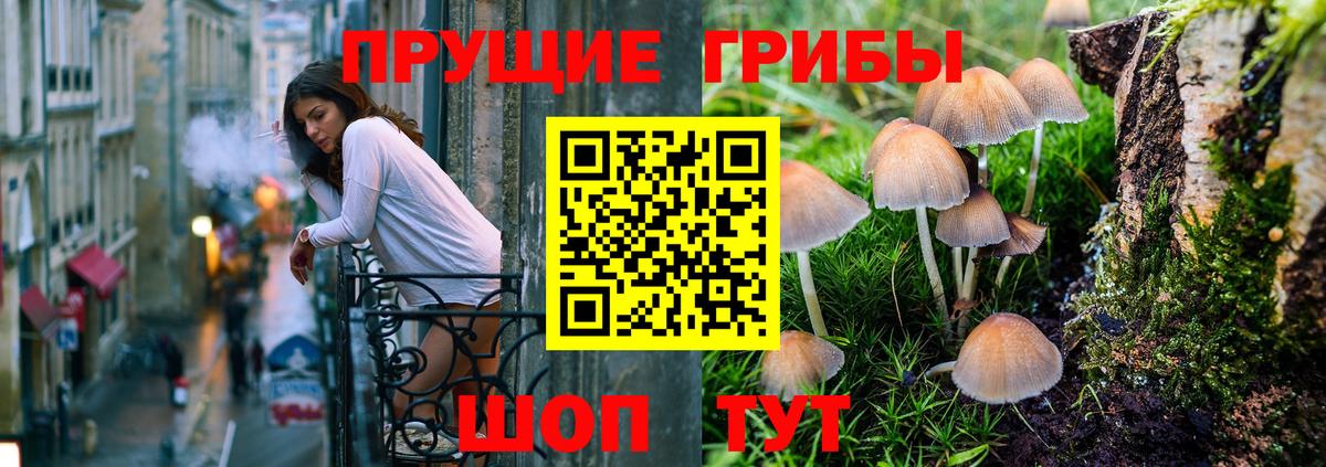 Галлюциногенные грибы Cubensis  Псилоцибиновые грибы мухоморы  Донецк  Вход с VPN 