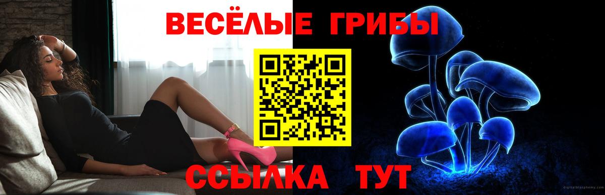 Галлюциногенные грибы Psilocybine cubensis Донецк